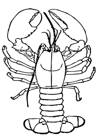 Lobster With Big Claws Coloring Page